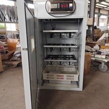 �����C�r�B����������������������r�B�����O��������a�ط���