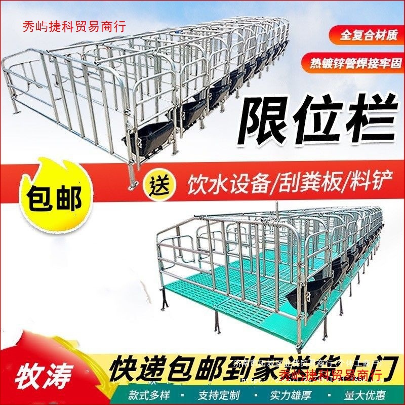 母猪地面猪用限位栏养猪场设备加厚地面围栏猪圈漏粪板设备其它