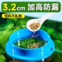 yee金鱼悬浮跨境水族箱