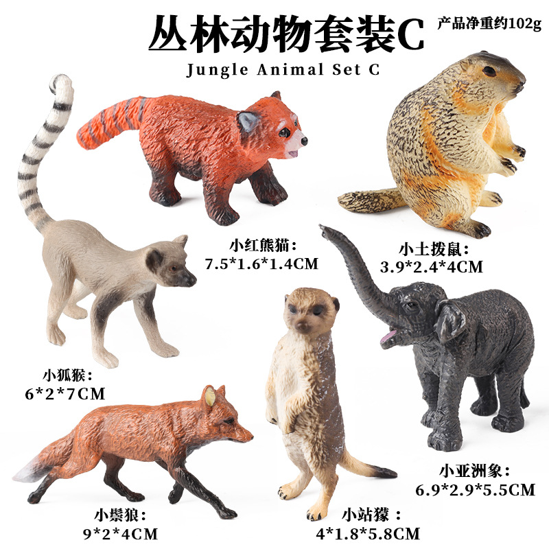 TB 정글 동물 6종 세트 C (마못 포함)