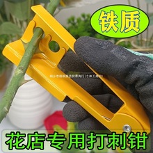 �¿����Q�r����򻨴��Qȥ����õ�廨��̌���ˇ�������b