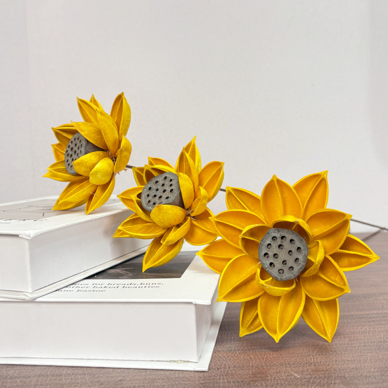 仿真荷花干花木莲花睡莲禅意拍摄花材风干家居客厅