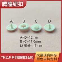 �羳�F؛ ͯ�bTH116�ļ����ĺϿۋ냺����֬��ɫ�~�۰��ۏS��ֱ�N