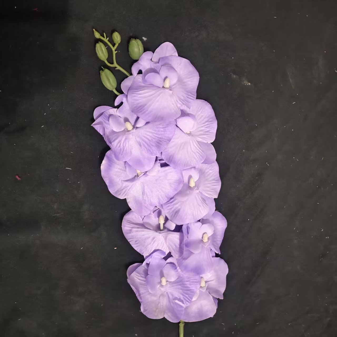 보라색
