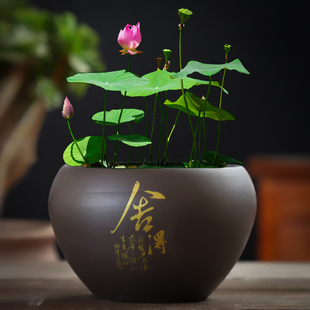 �؃r��}ˮ��ɻ�˯ɏ�~�X����ɰ��ɏ���С���~�o�״�̖�մɻ���