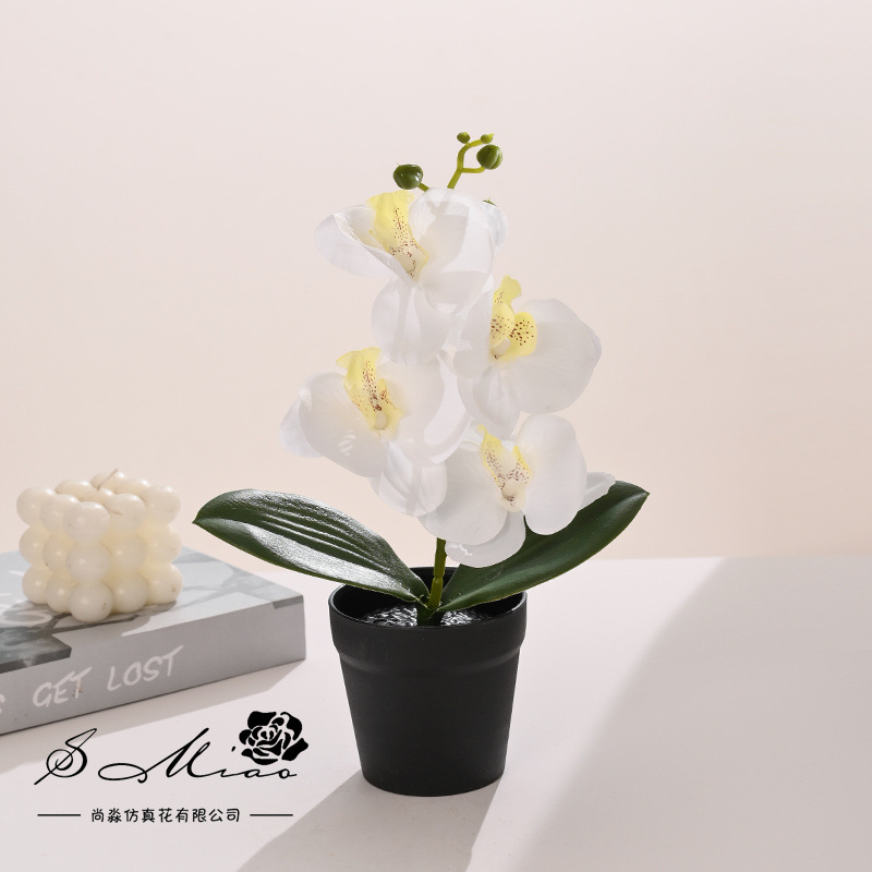 Orquídea Phalaenopsis Artificial en Bonsái, Suministrada Directamente por el Fabricante, Plantas Artificiales Creativas para Decoración de Interiores, Flores Artificiales, Plantas en Maceta Simuladas