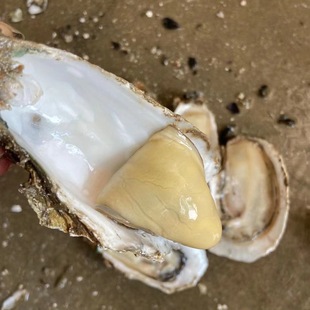 �V�|���r����ɽˮ�a�����뚤�ش��r�����5-10����������ĵϠ����