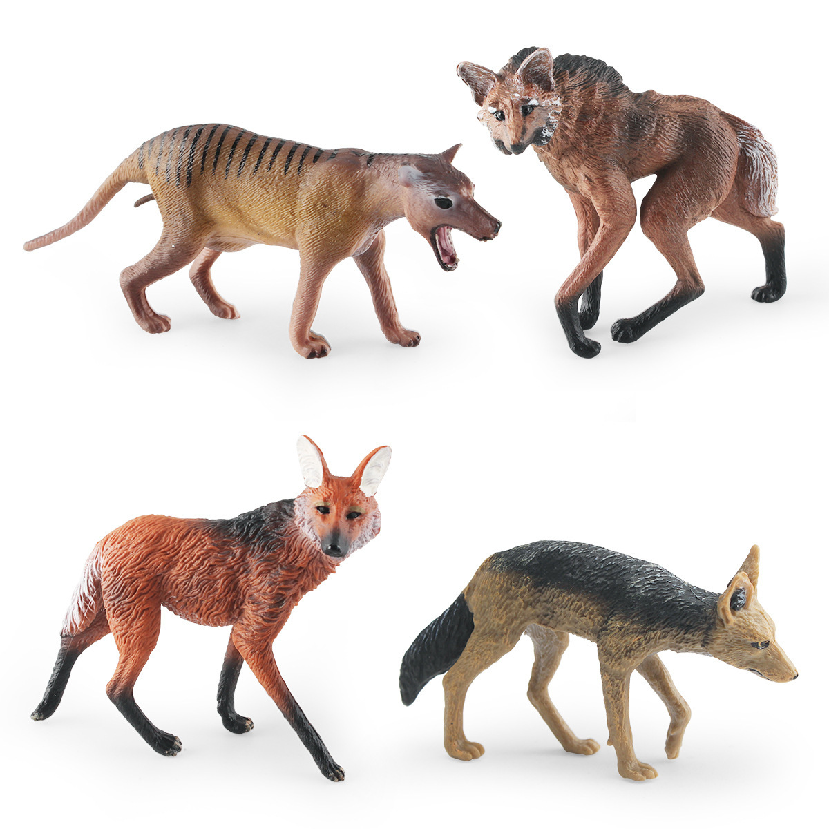 Modelo realista de lobo de pradera transfronterizo, juguete educativo para niños, lobo mancuzo, lobo brasileño, dingo, lobo de espalda negra, pieza de exhibición estática