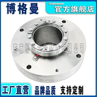 加工定制机械密封 aSAFV2/33-E4机械密封件 博格曼电厂集装式机封