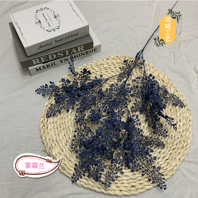 헤이즈 블루