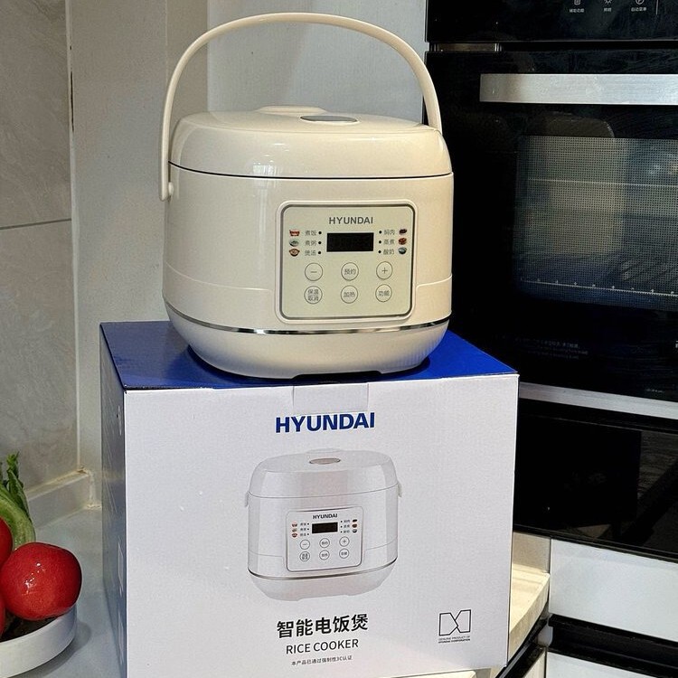 HYUNDAI ヒュンダイ スマート炊飯器 家庭用 小型 大容量 2-3人用 正規品 多機能炊飯器 スマート|undefined