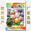 Vegetable Seed Company Four Seasons Easy-to-Season Featured Vegetable Vegetable Seeds wholesale-About 50 Certain Colorful Pepper Pepper Seeds