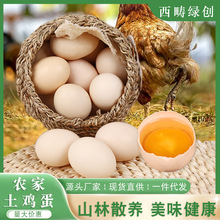 土鸡蛋 农家散养土鸡蛋20枚云南新鲜鸡蛋谷物喂养笨鸡蛋坐月子蛋