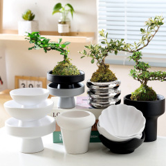 Moss Ball Plant Pot, Asparagus Fern, Holeless Fruit Tray, Ceramic Sword Mountain, Orchid Plant Pot, Home Use Zen Office Ornament, Bonsai