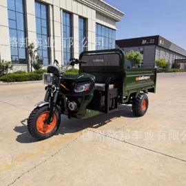 电动三轮车;电动代步车;三轮车