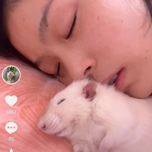 ����֩������f�}���Ɍ�Ӣ�۳������b��ͯ�����b�����b���_