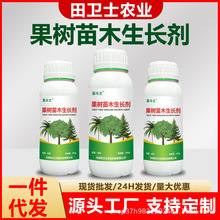 �}��ʿ��ľ���L���ք���ľ�������L���������o���։ѹ��䌣�÷�