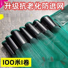 10���W���Bֳ����Ĥ���ӾW���~0���r�з��ţ��С���r���ӾW����
