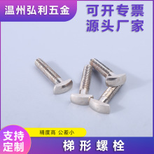 厂家供应碳钢T型全牙螺栓工业铝材卡槽梯形切边螺丝t型螺丝定位销
