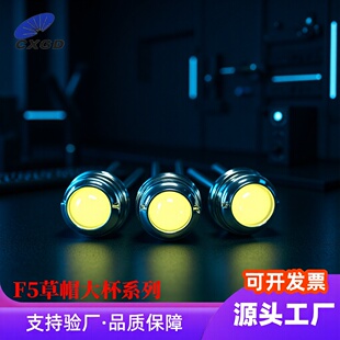 F5/5mm��ñ4.8mm�󱭰׹�ů�� �����t �S �{ ��Gֱ���ñ�����