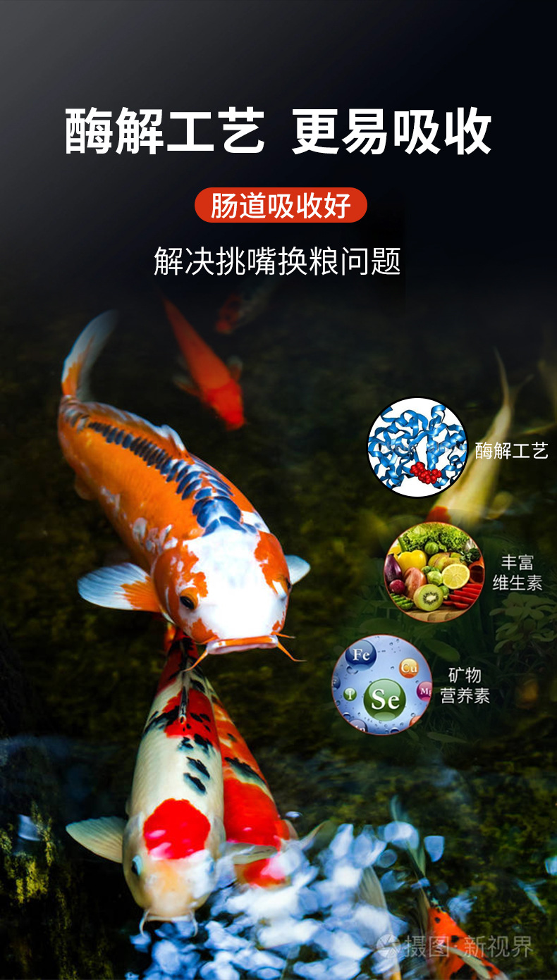 锦鲤饲料_05.jpg