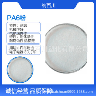 Nylon 6 Pa6 Powder Good Self-Lubrication Properties Strong Wear Resistance Electronic and Electrical Components