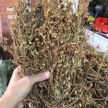 ����t��ș������t�� ������ С���R ����t ��C�ݳ���������