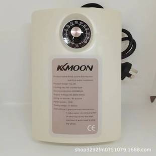2000mg ozone generator plus timer vegetable washing disinfection machine fruit and vegetable detoxification machine fish tank face washing water