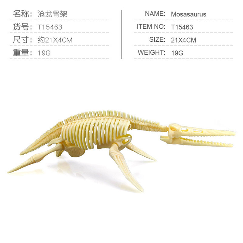 Transfronterizos de venta caliente simulación sólida modelo de cráneo de dinosaurio estático T. rex Velociraptor esqueleto arqueológico juguetes para niños