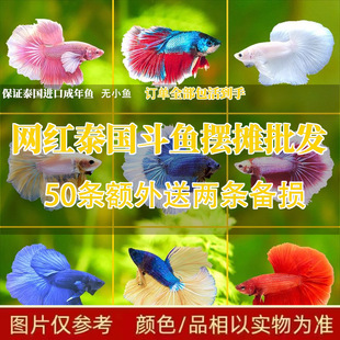 ̩�����~�W�tҹ�Д[�����������ͻ�5CMС�͟Ꭷ�~�鼆�~�����~