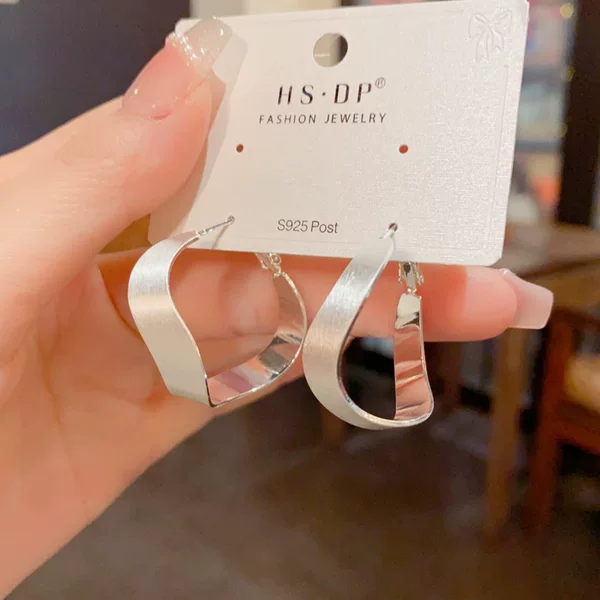Amazon Cross-Border Exaggerated Personality Metal Brushed Geometric Earrings with a Simple and Unique Cool Style Wholesale