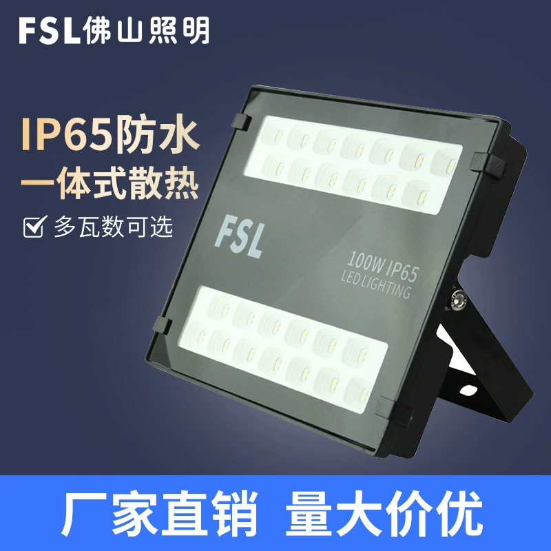 FSL Lights, LED путешествие прожектор, лампа, высокая мощность, изготовленная на заказ