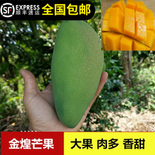 â��������â��������������~����������|ݸ�l؛13���Ԍ��ϵ�