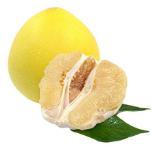 上海锦茗 进出口 水果清关拖车及冷链物流