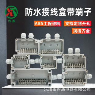 Outdoor waterproof junction box with terminal ABS plastic in-out junction box 10P20 high and low power supply monitoring