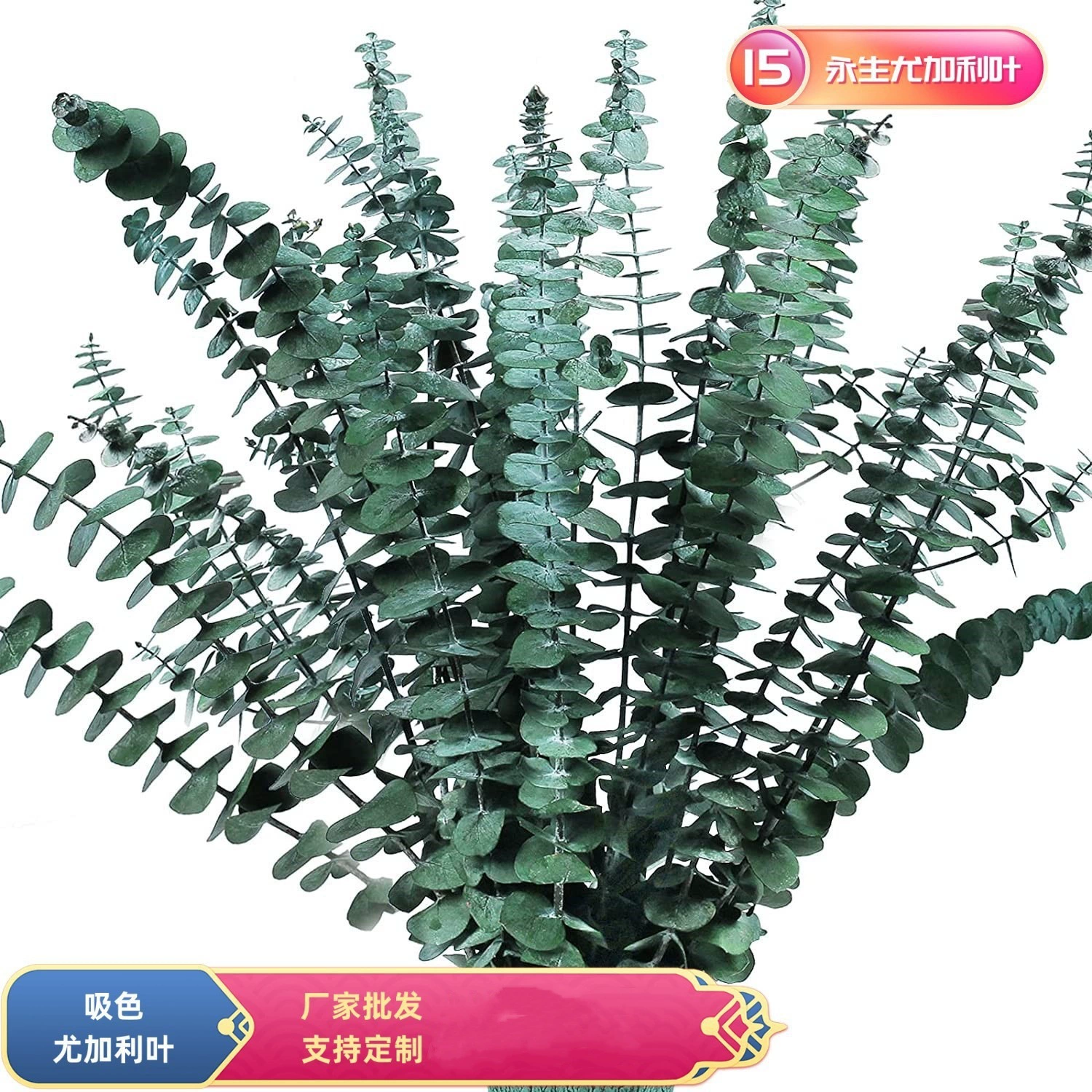 Медная монета Лист эвкалипта Сушеный цветок Вечный цветок Настоящий цветок Пресс для медной монеты Сухие декоративные материалы Цветы Поглощающие цветочные цветы оптом