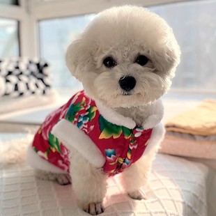 Cat Clothes Winter Northeast Big Flower Coat English Short Silver Gradual Kitten Dog Bomei Teddy Warm New Year Tang Dress
