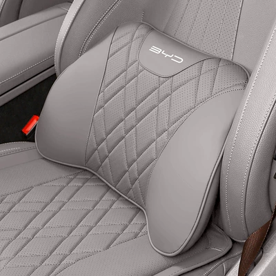 and Lumbar Support, Tang Dmi Memory: Headrest - byd-lumbar-support-1-piece-lotus-rhyme-gray