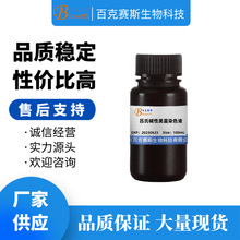 吕氏碱性美蓝染色液 实验用科研试剂 百克赛斯生物 100ml/瓶