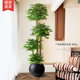 高端仿生花卉绿植