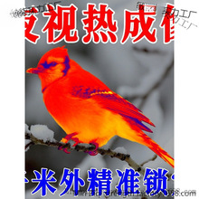 ¿g֙CBӸhR׷ۙӲ+ܛ