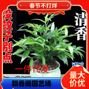 һ�����lˮ�����������Ը��F��ˮ�Bֲ����ò��҃ȿ͏d�Gֲ����