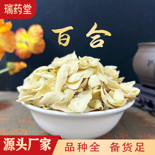 �ٺ� �����ٺ��m��ʳ����ٺ� �ٺϻ� �ٺϷ� �a�جF؛