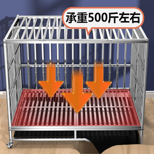 04���P䓹��\���l����Ȯ���ۯB��ë�҃ȼӴּӺ񹷻\�Ӵ�