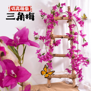 ��Ʒ��֦����÷���滨�ܿ͏d�����T鹘侰��֧�ɻ��ٻ�������b�