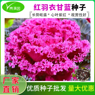 �t���¸��{�N�ӿ��^�pʳ�àI�B�S���̨������@�t�_ȹ�N�����ͺ�