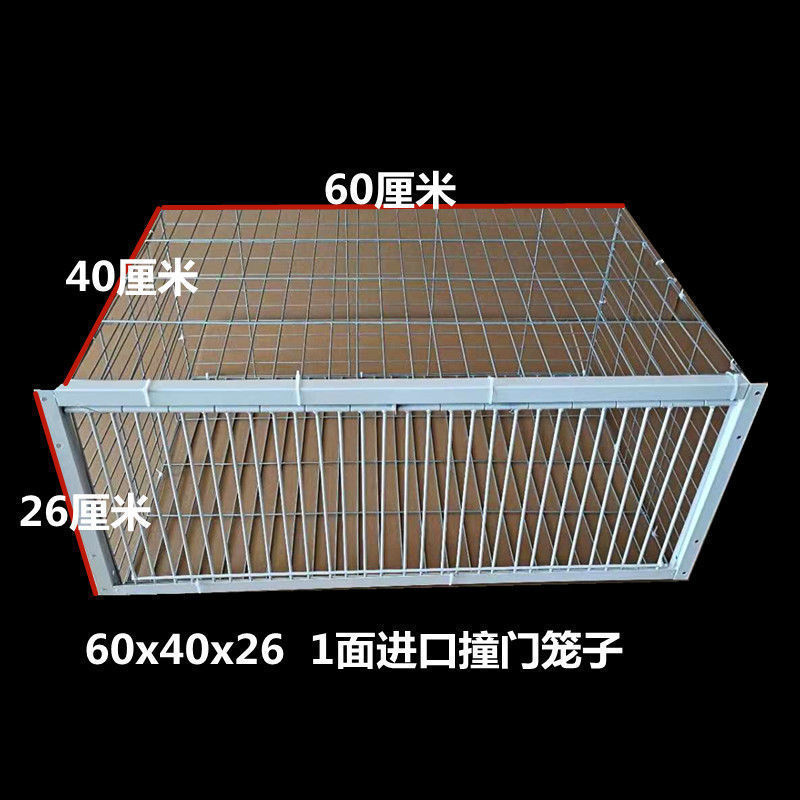 鸽子撞门笼 自动撞门笼活络门帘子门信鸽进笼口进门自动门鸽子笼|undefined