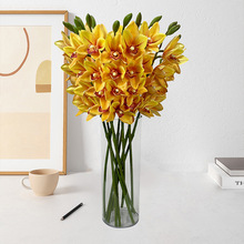 �󻨻��m���滨�����bҾӻ�c�zӰ���ܾGֲ��������ӡ����