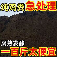 ���u�S�l���ЙC���ϷN�˼��àI�B���߲˹��仨�ܻ�Ϸ�ţ��S���l