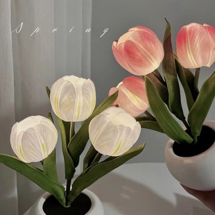 Cross-Border Wholesale Tulip Night Light Bedroom Ornaments Sleep Atmosphere Bedside Table Lamp Birthday Creative Gift